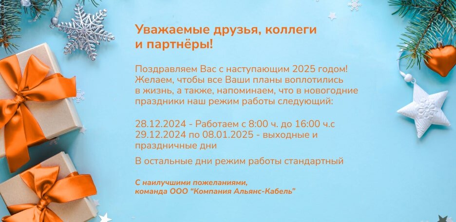 С наступающим Новым 2025 годом!